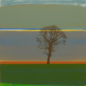 Field Series I