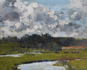 Cows grazing in Lulworth watermeadows