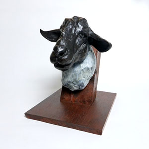 Suffolk Ram
