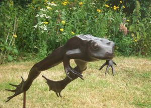 Leaping frog